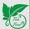 Tea Tree Massage Spa