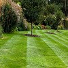 A5 Landscaping and Tree Services